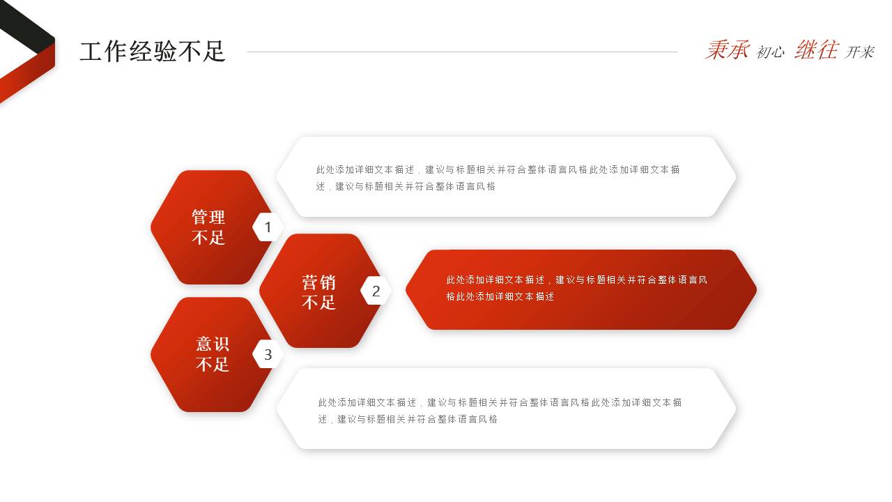 工作总结 (17).pptx